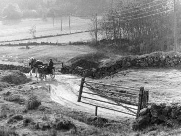 Säby på Tjörn 1958